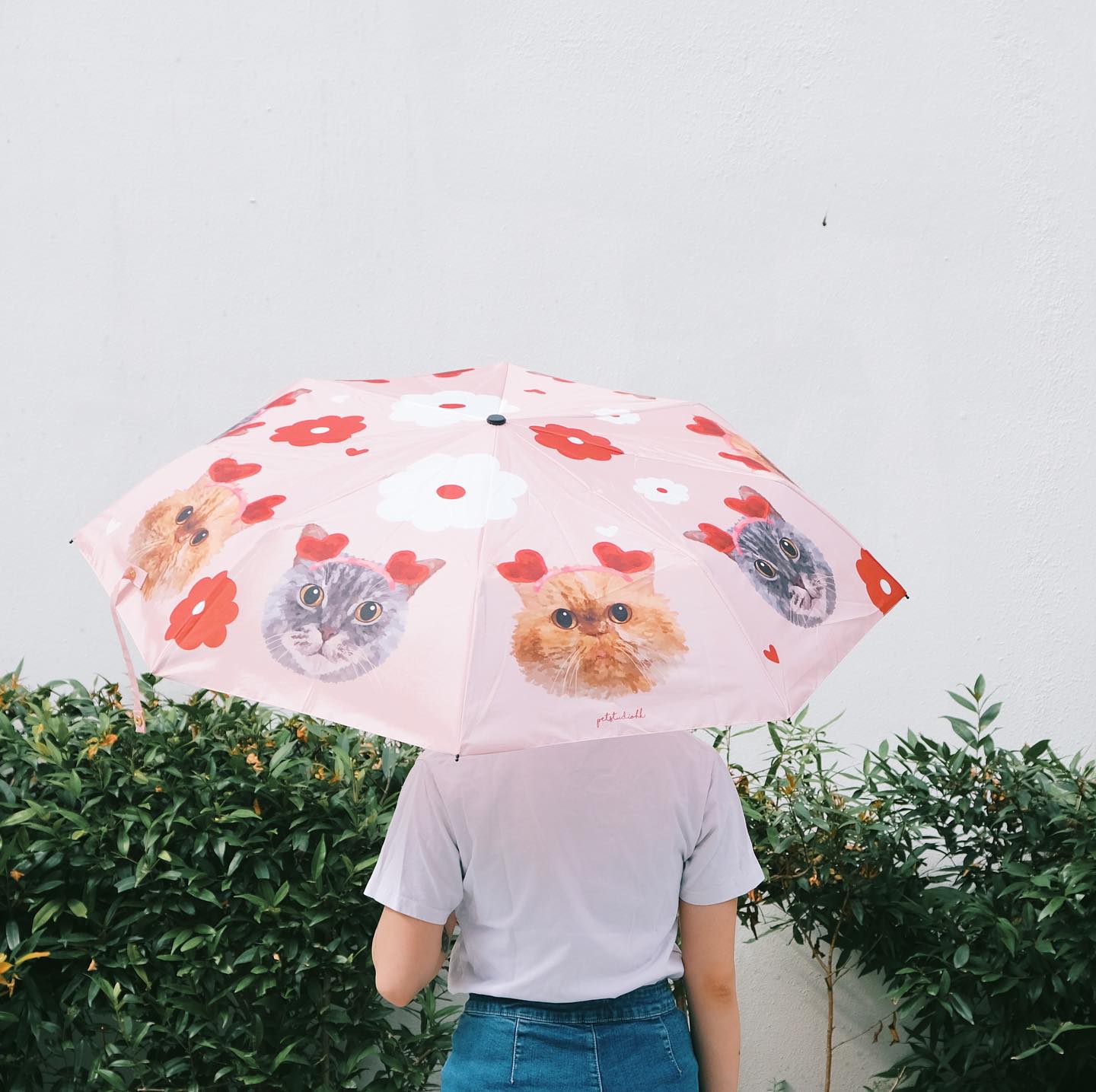 特製寵物雨傘